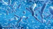 Bacteria-Blue